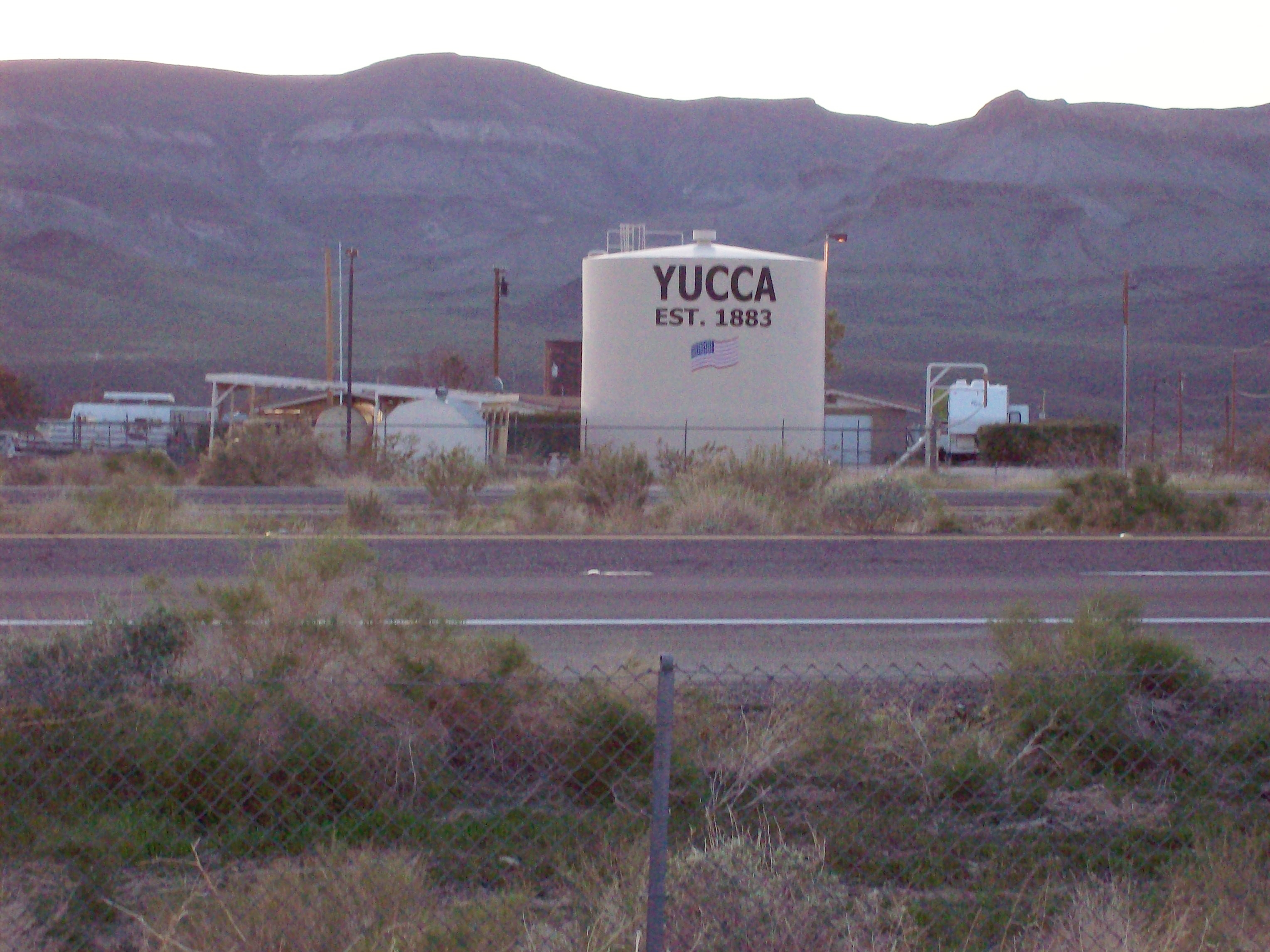 Yucca